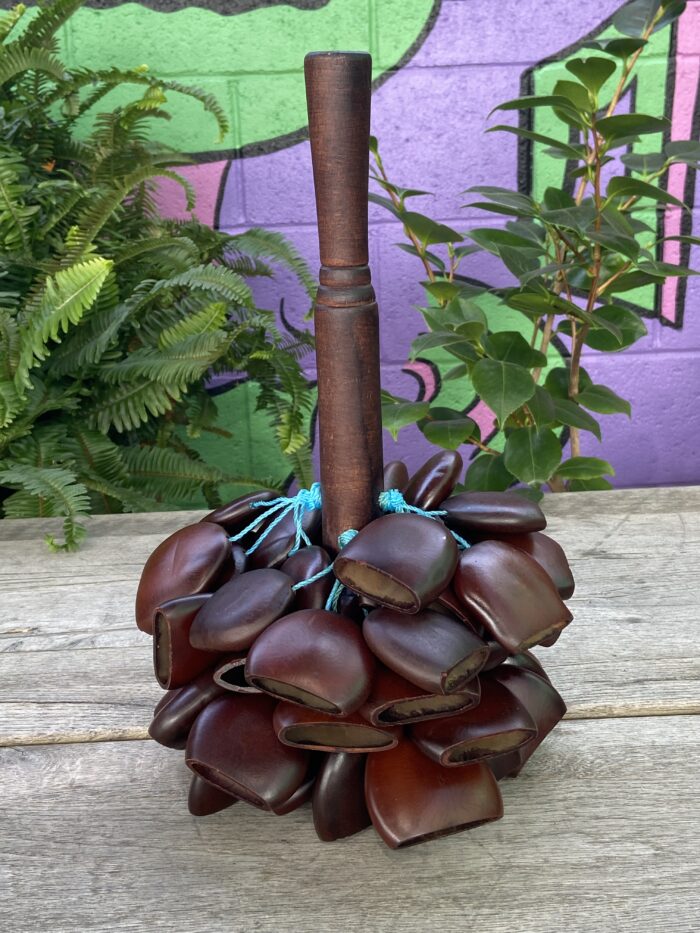 Togo Seed - Image 4