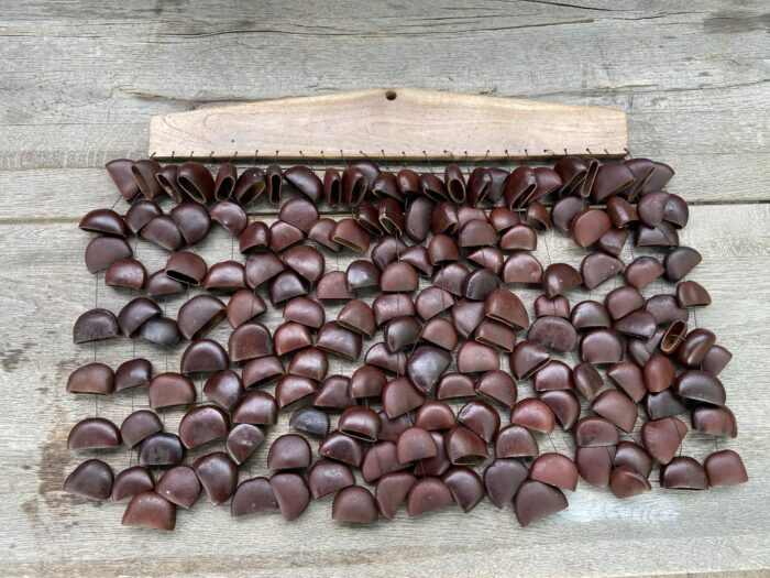 Togo Seed - Image 5