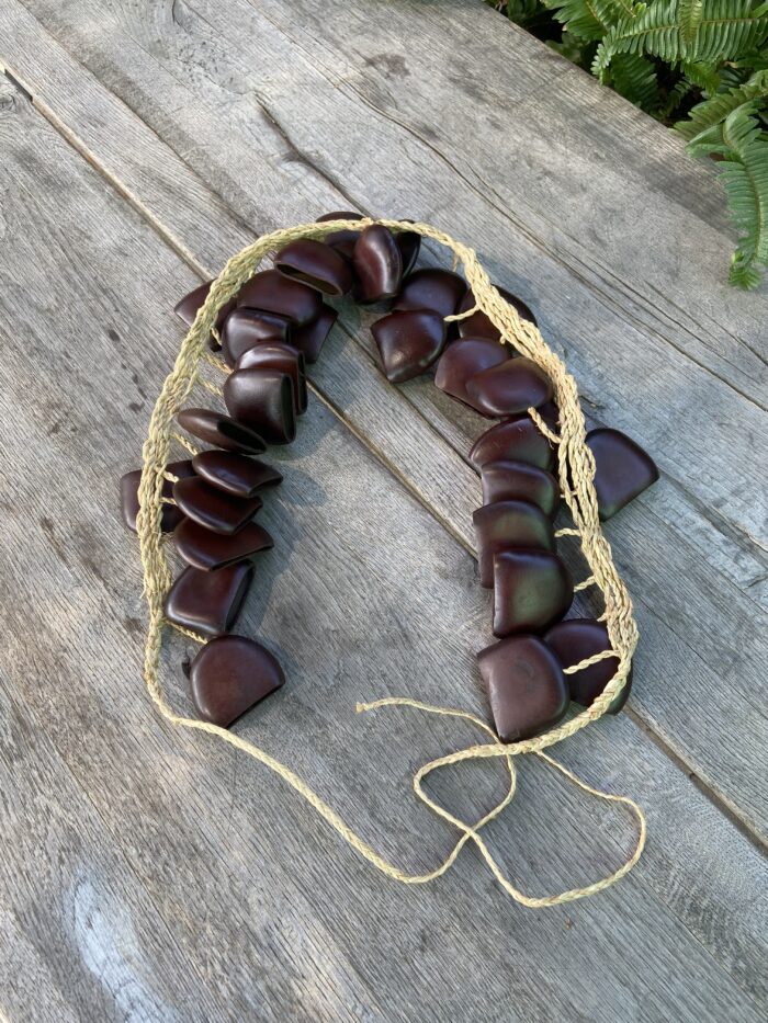 Togo Seed - Image 9