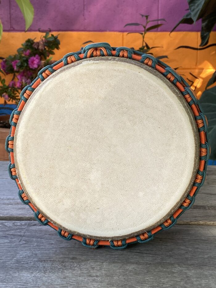 9 inch Mini PRO Series Orange/Teal - Image 2