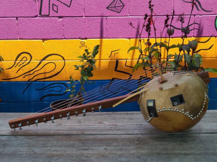 Kamale Ngoni 12 String - Image 4