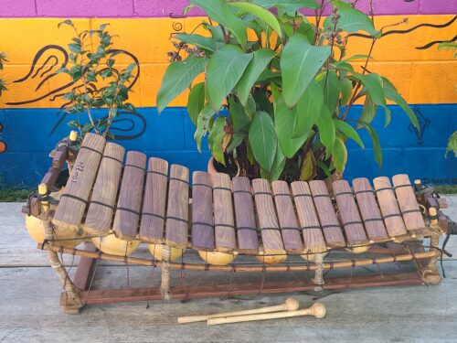 ハンドメイド　アフリカンXylophone WW-3014 NEO XYLOPHONE | Wonderworldtoy - Natural toys for