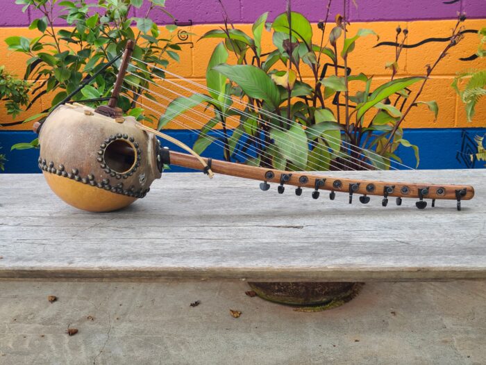 Kamale Ngoni 12 String 2