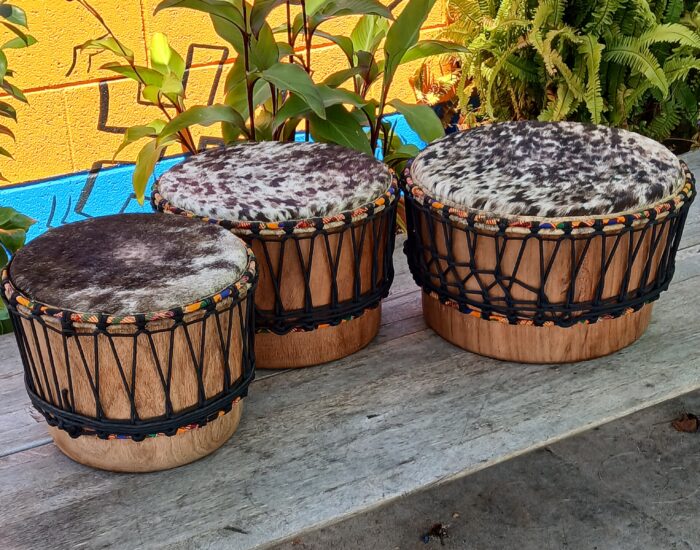 Bass Dun Drum Set - Image 5