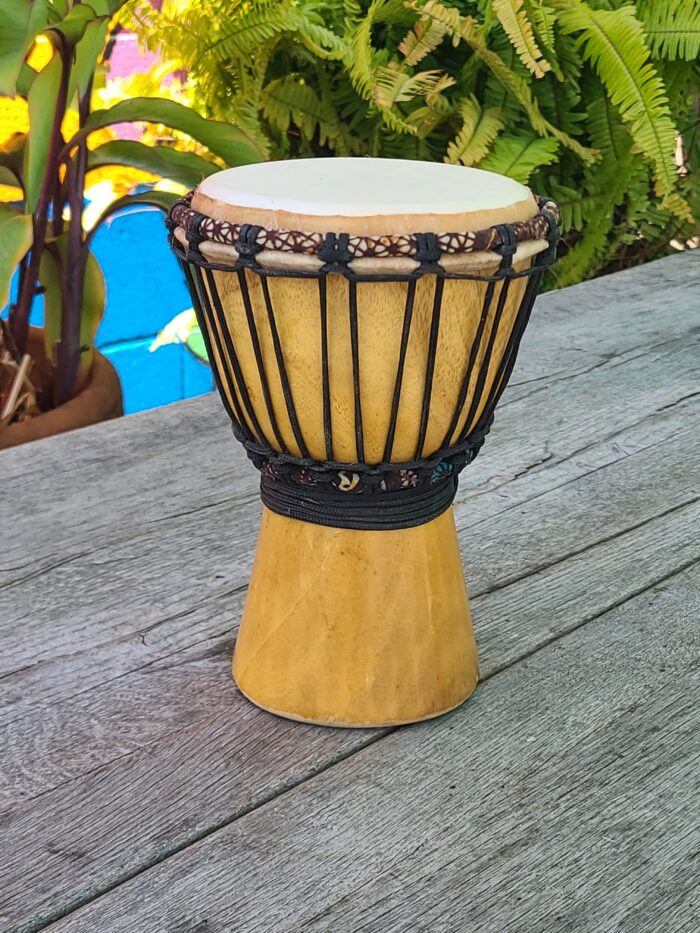 5 inch Mini