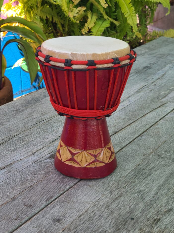 5.5 inch Mini