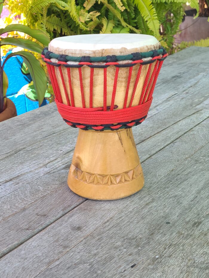 5.5 inch Mini