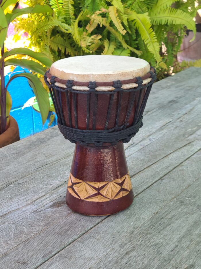 5.5 inch Mini
