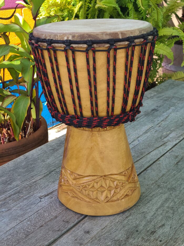 10 inch Mini