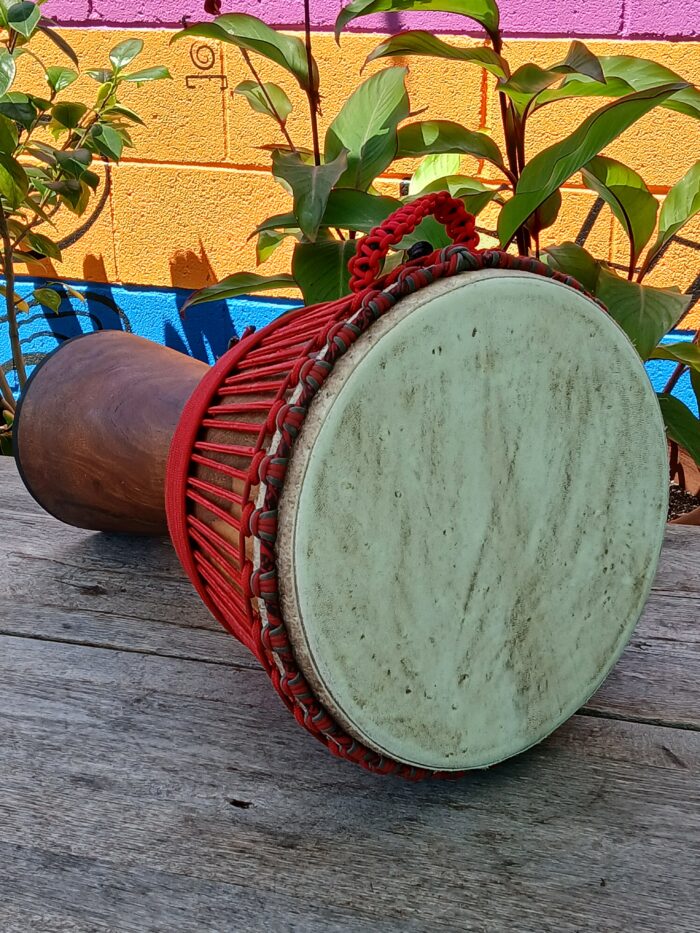 13.5 inch Motherland Demba - Image 3