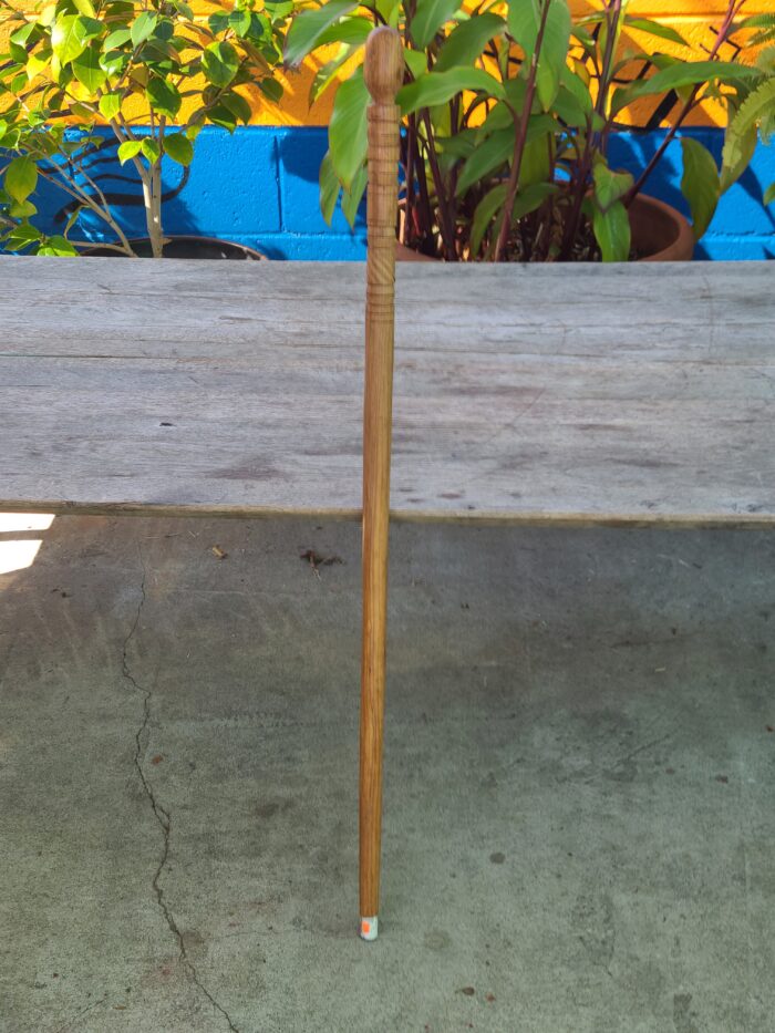 Walking Stick 1