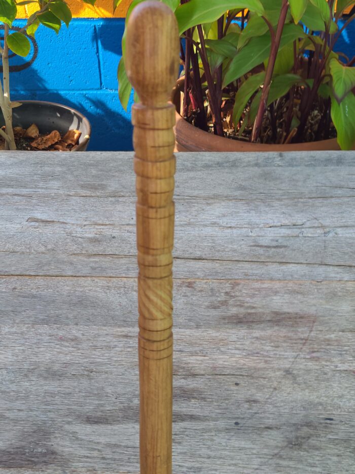 Walking Stick 1 - Image 2