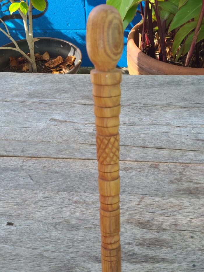 Walking Stick 2 - Image 2