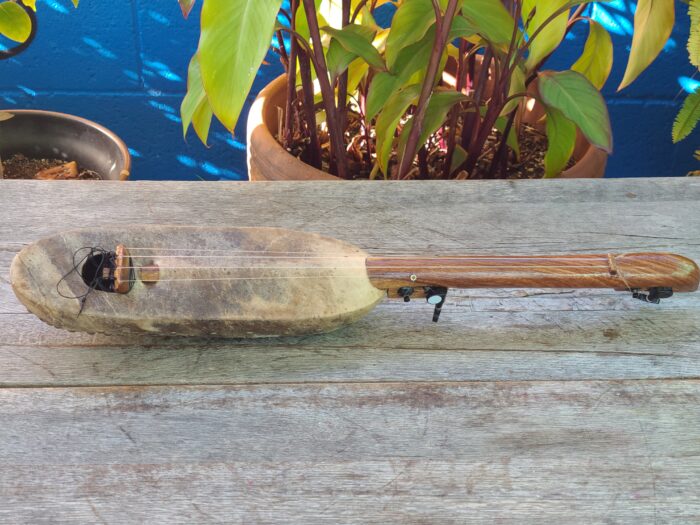 Djeli Ngoni 4 String 2