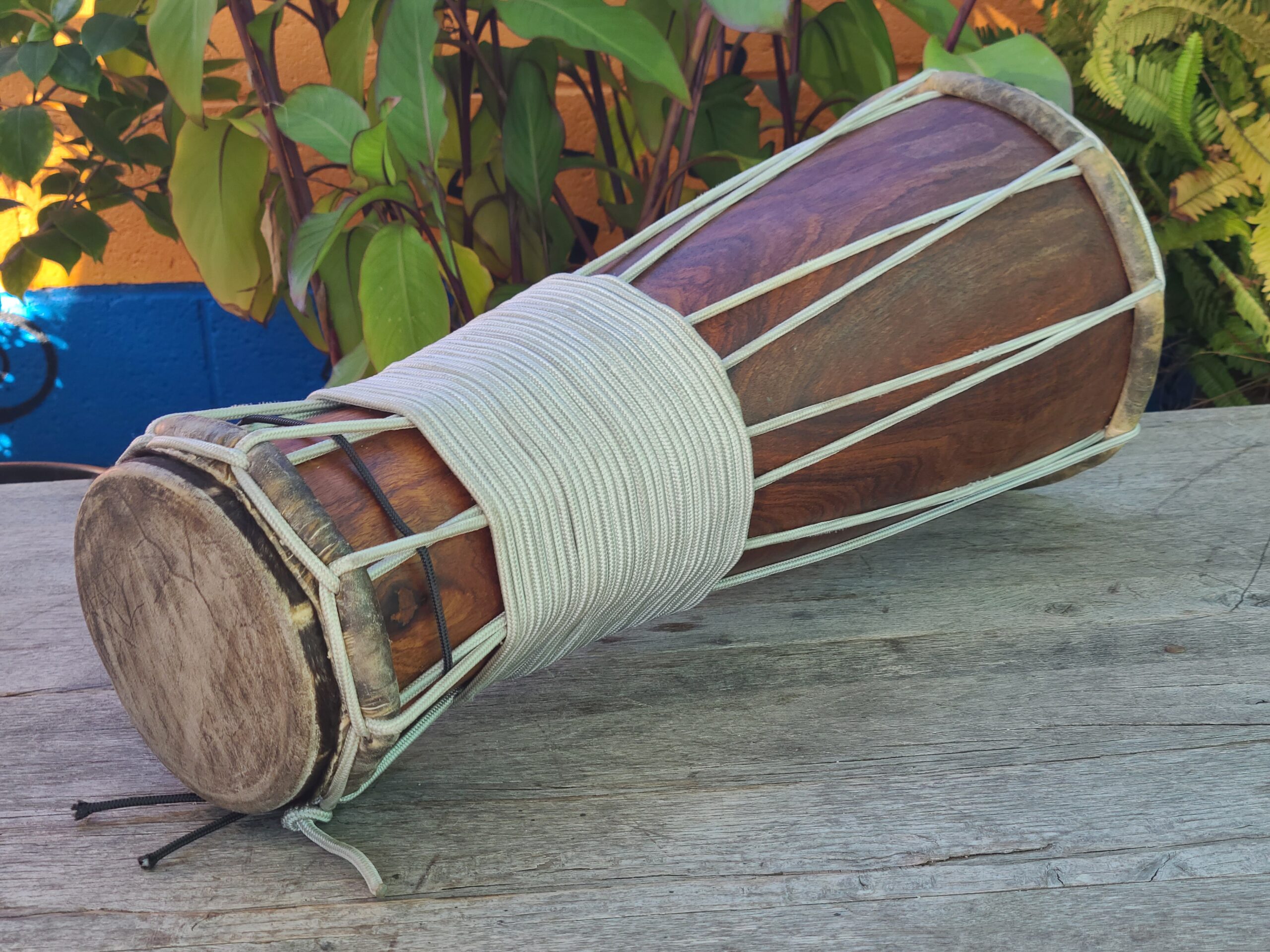 Totele Bata - Image 2