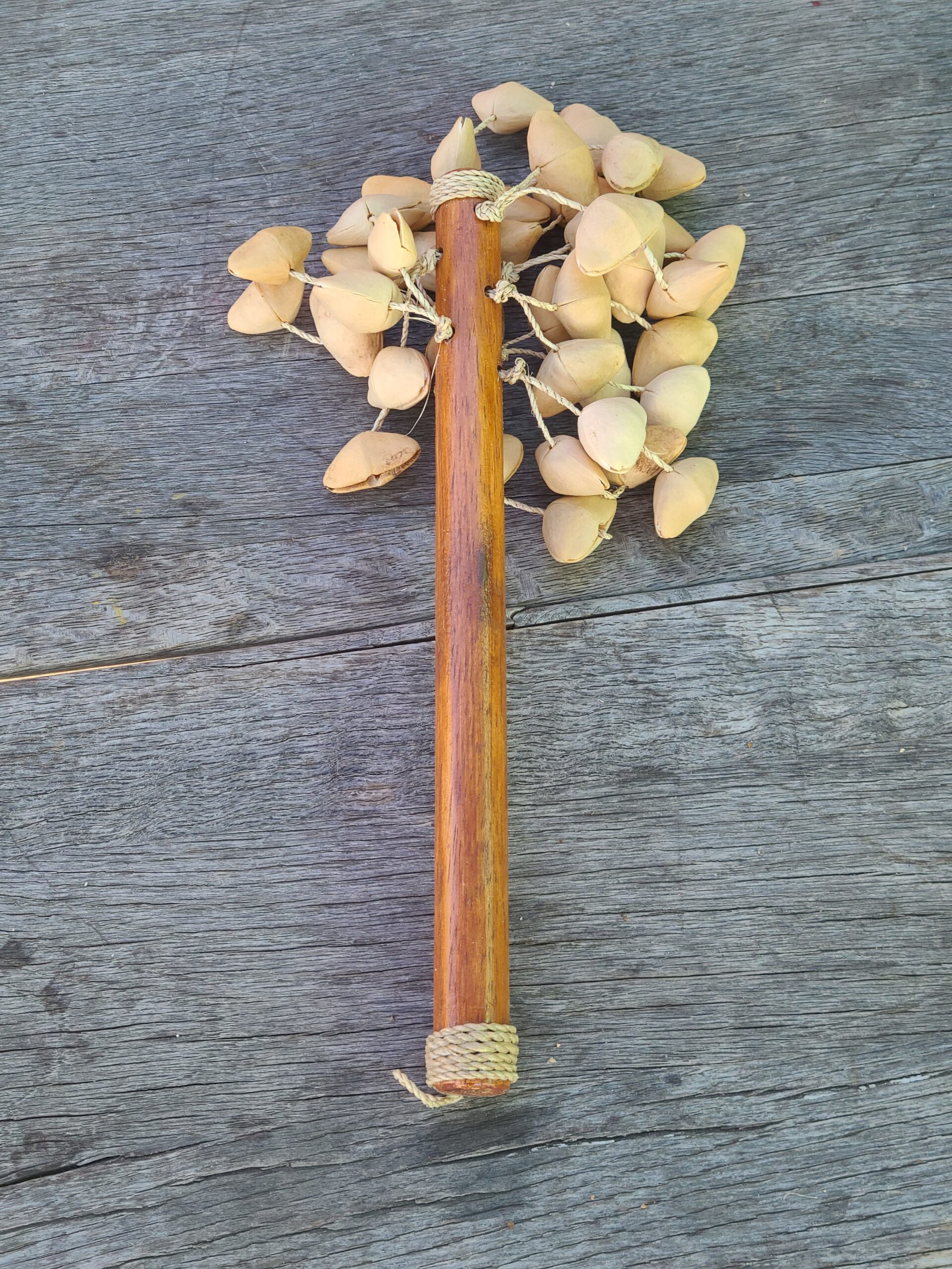 Kenari Seed - Image 17