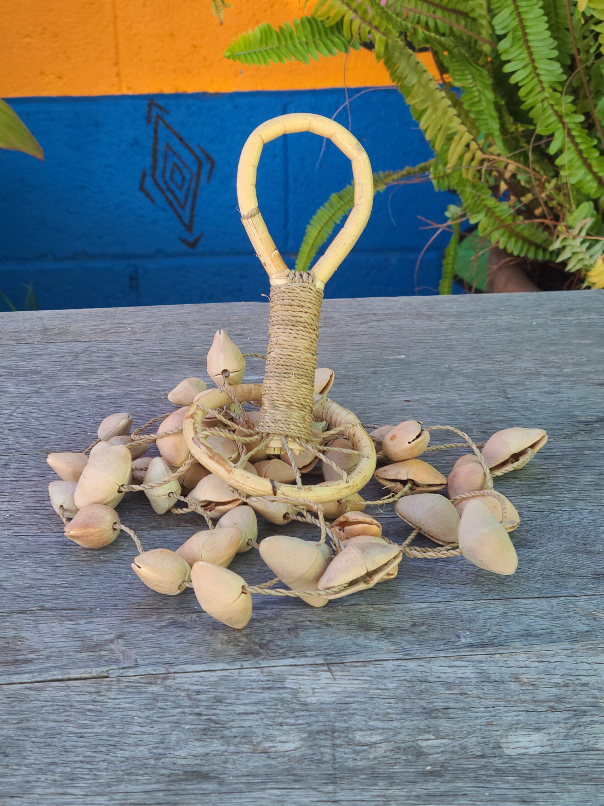 Kenari Seed - Image 18