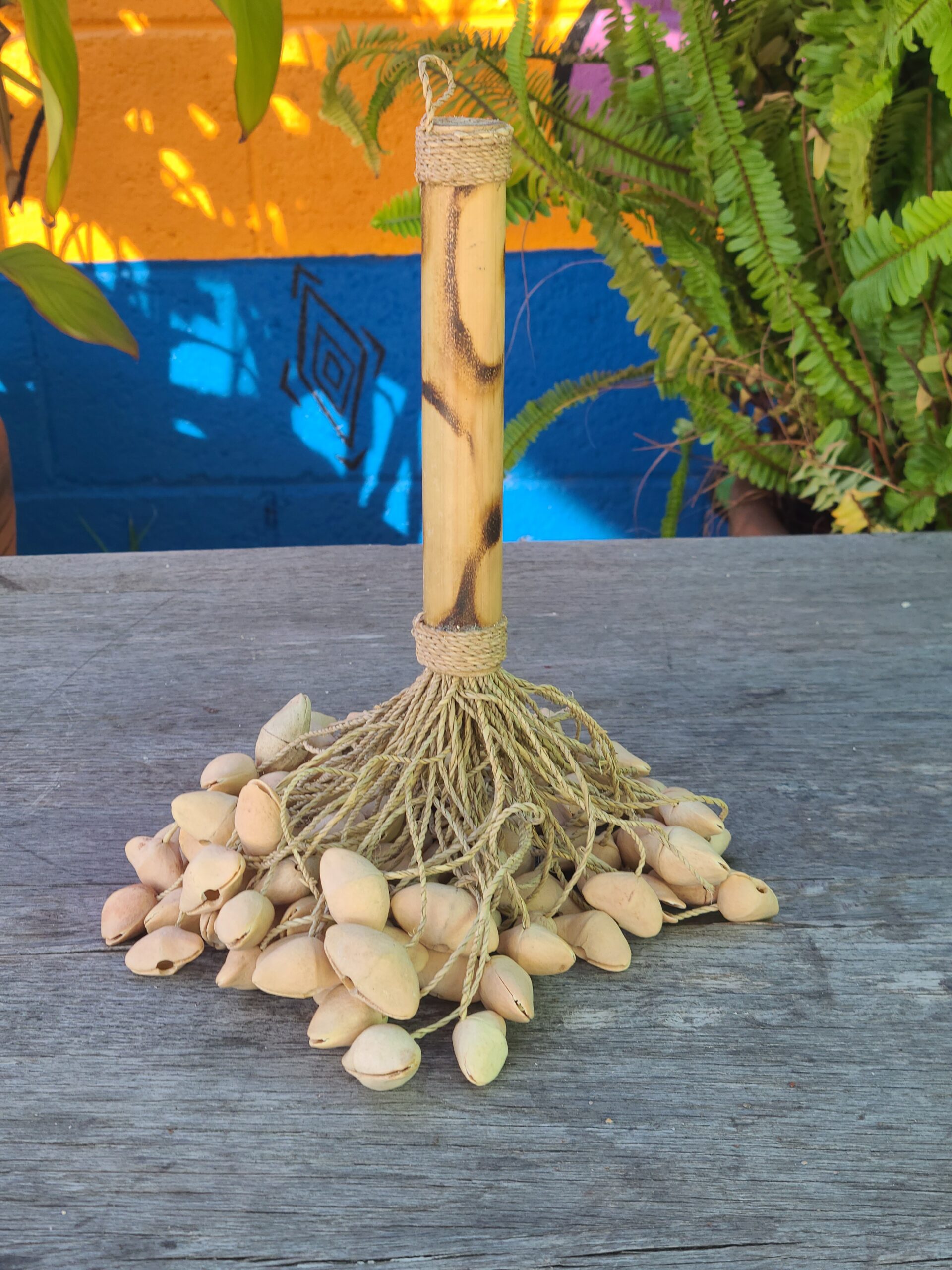 Kenari Seed - Image 19