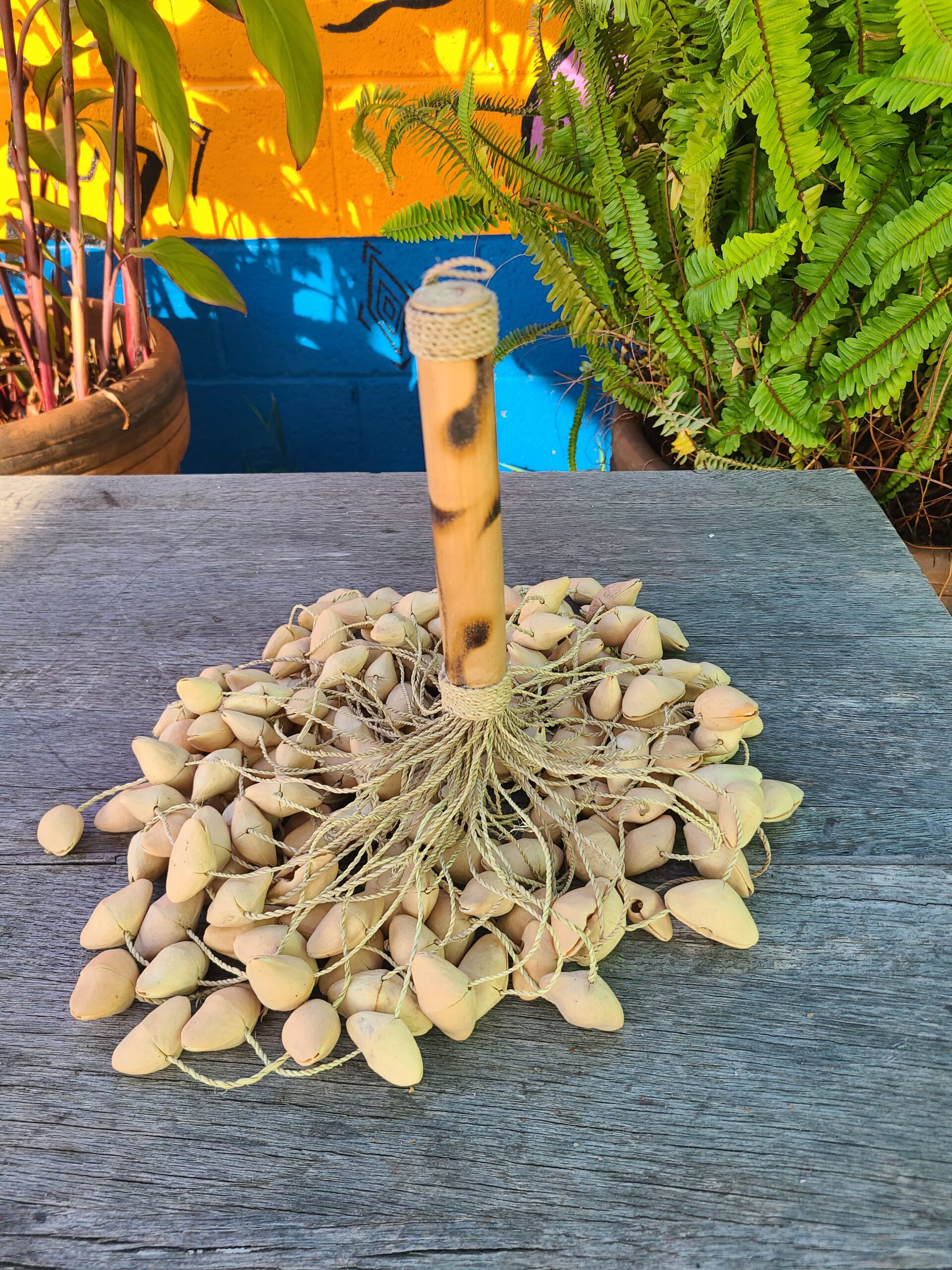 Kenari Seed - Image 20