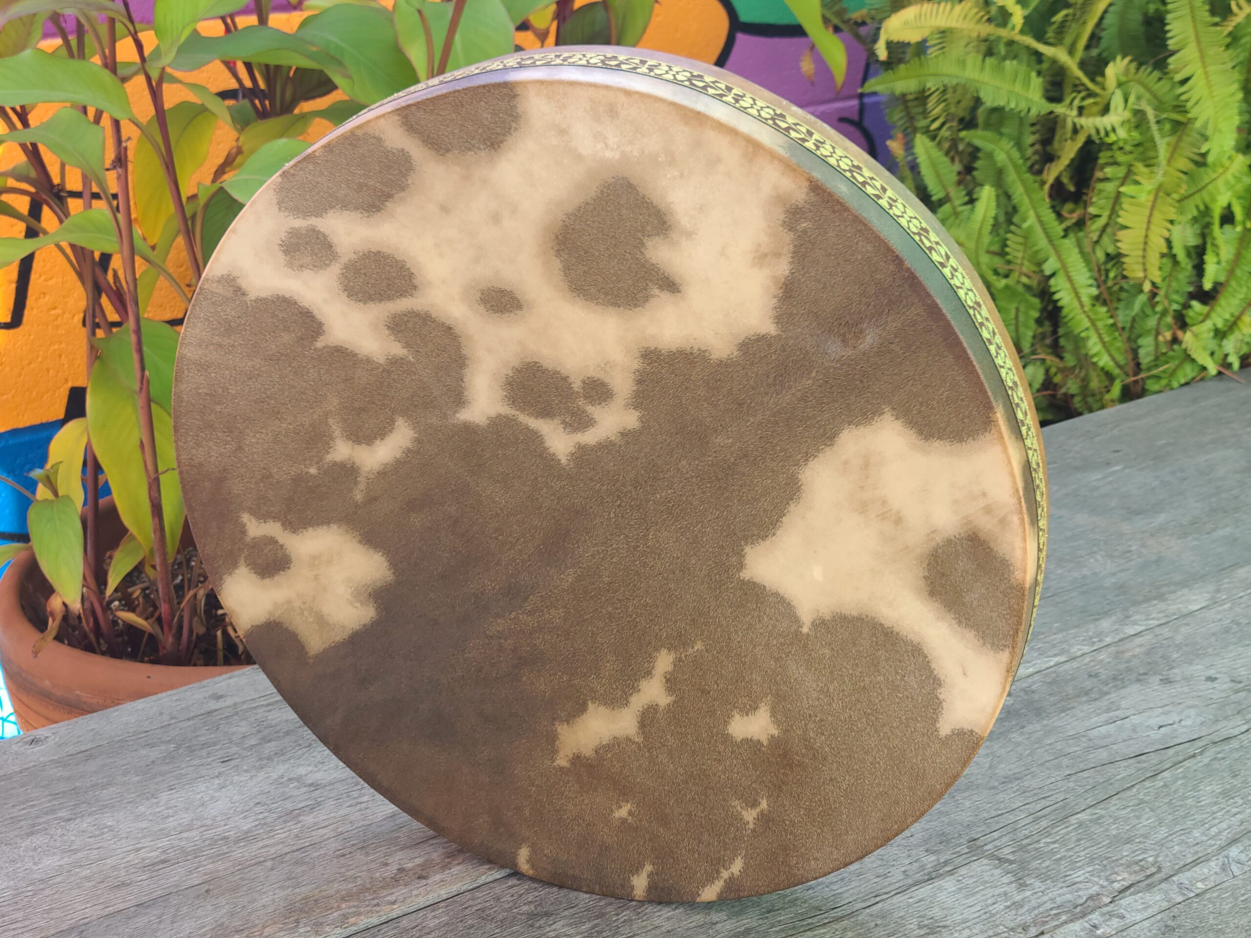 Ocean Frame Drum Spotted 20 Inch