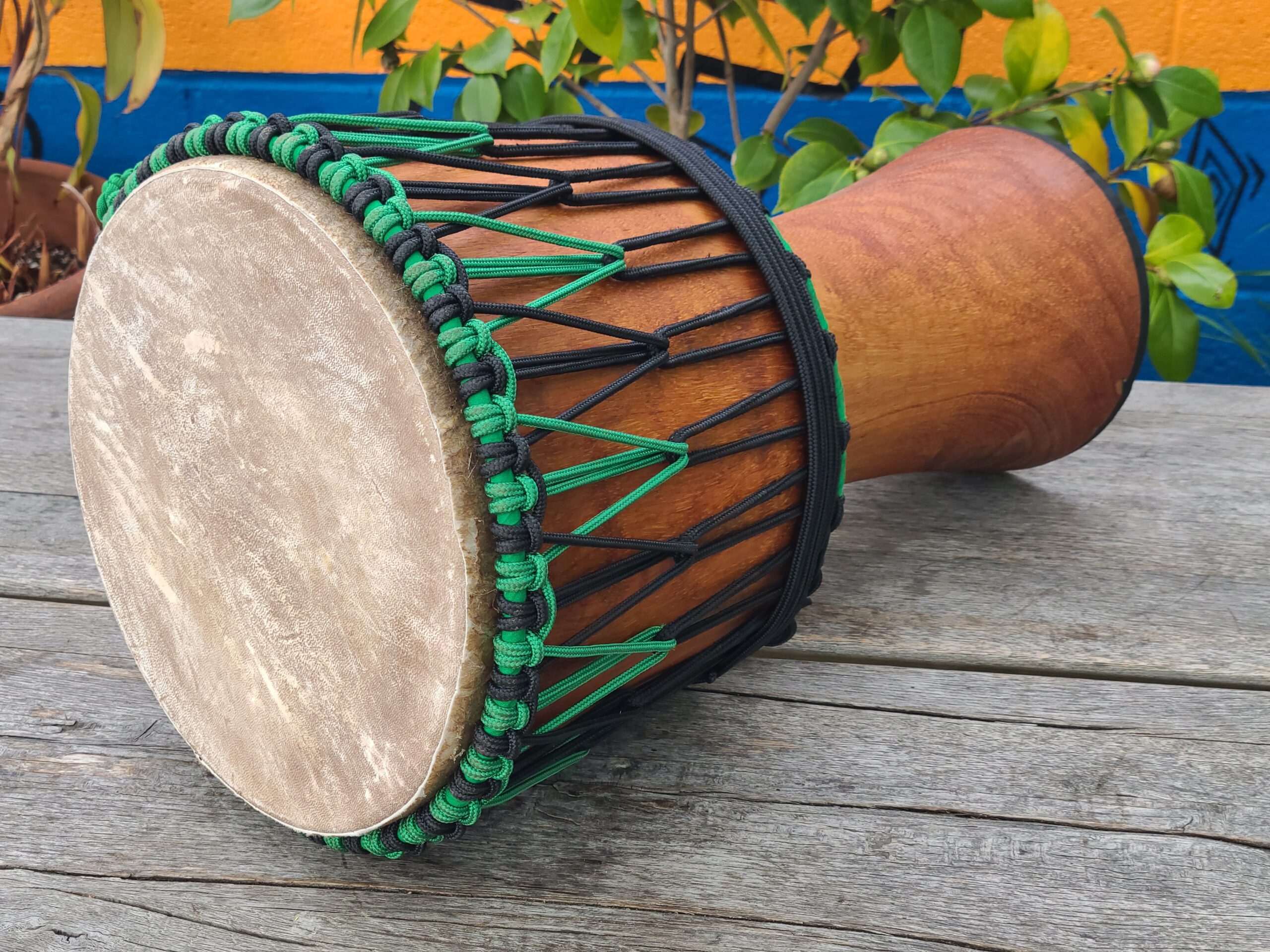 Cannon Ball! - Image 3