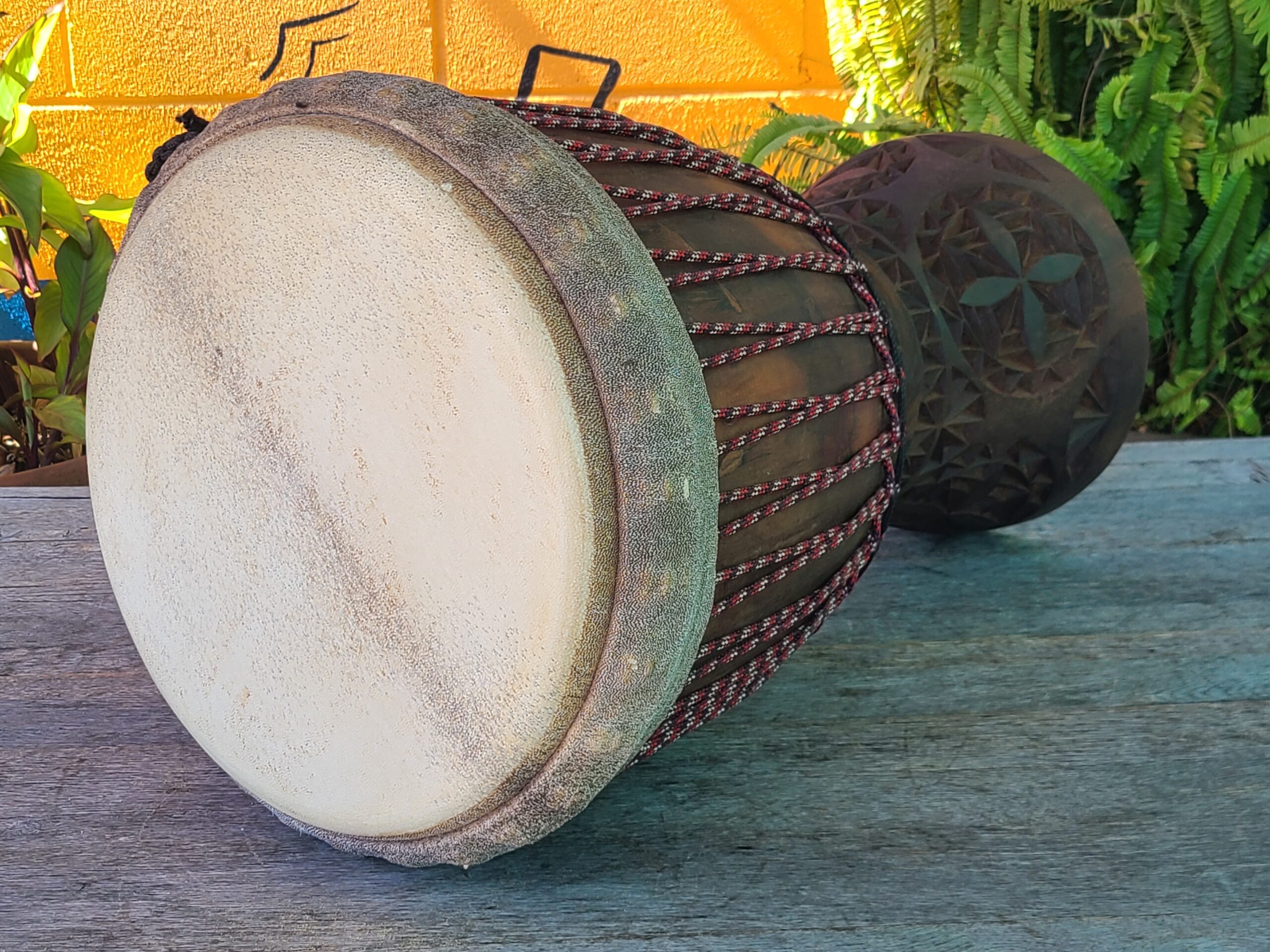 13 inch Ironwood - Image 2