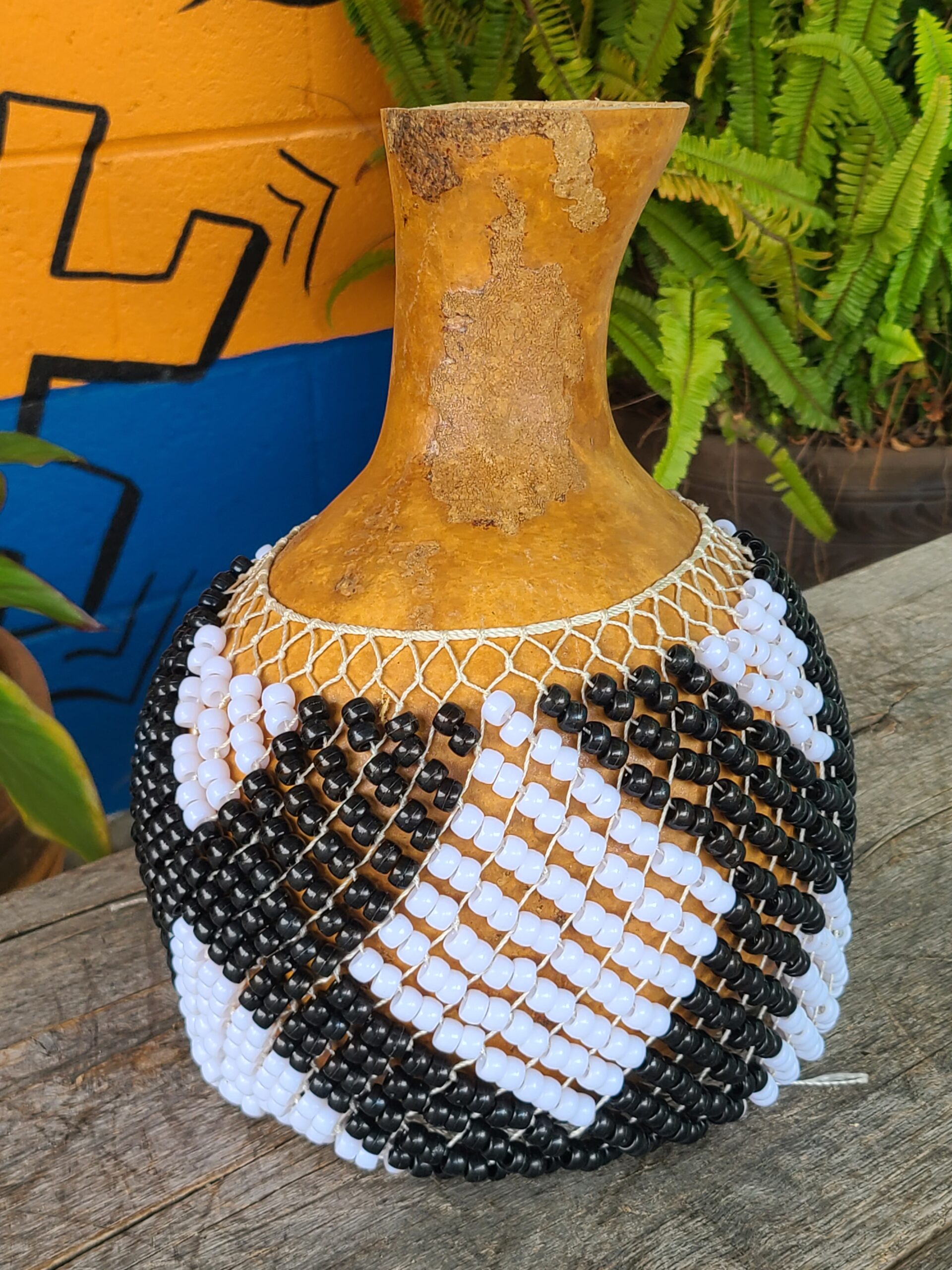 8 Inch Shekere
