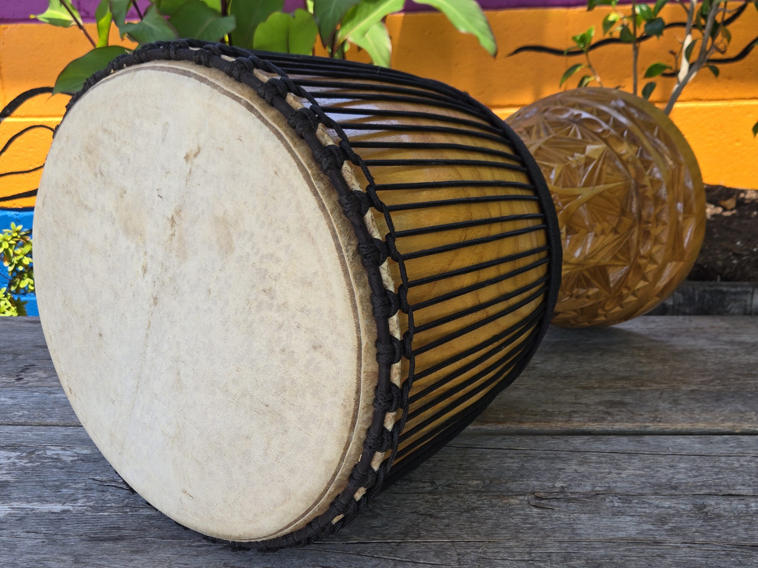 15.5 Inch Melina - Image 2