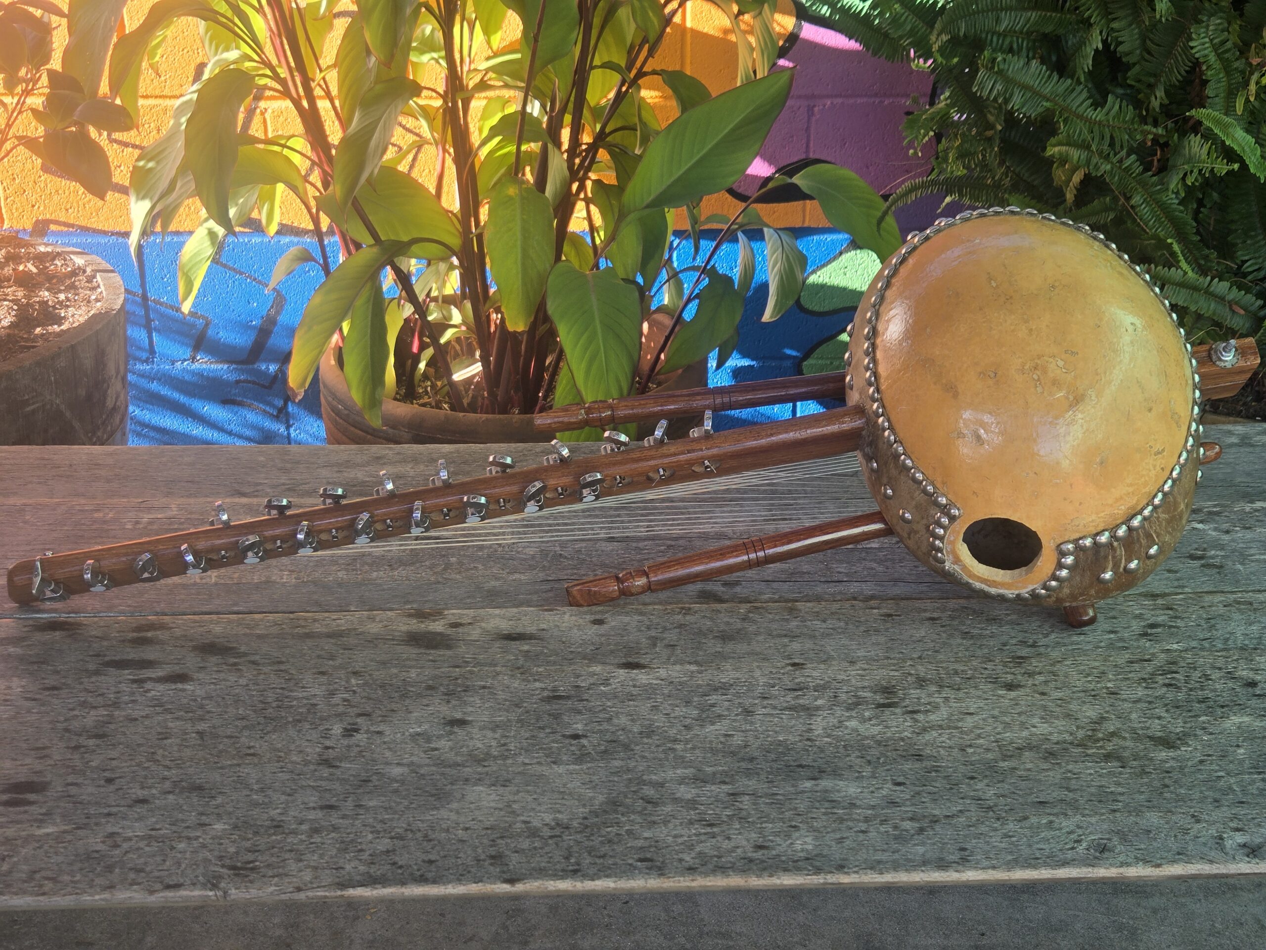Kora 3 - Image 3